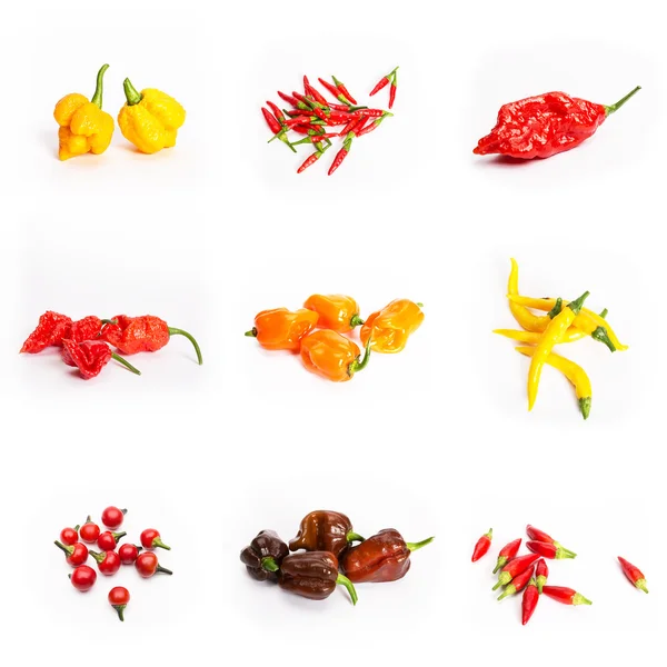 Chilli peppers habanero fatalii rooster cayenne — Stock Photo, Image