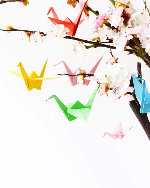 Colorful paper origami birds on flowering branches of cherry (sakura) — Stock Photo, Image