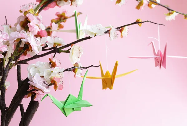 Colorful paper origami birds on flowering branches of cherry (sakura) — Stock Photo, Image