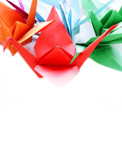 Papel colorido origami aves sobre un fondo blanco —  Fotos de Stock