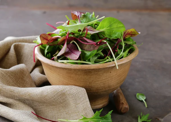 Zielona sałatka mix dla zdrowej diecie — Zdjęcie stockowe