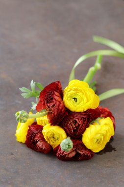 Güzel bahar düğün çiçeği (tipik) çiçekler kırmızı ve sarı