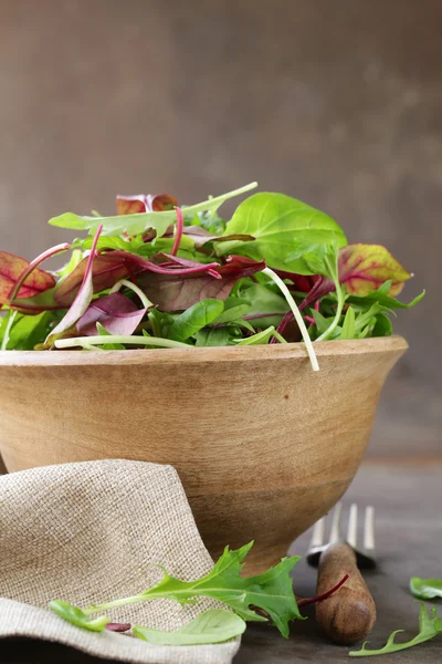 Mistura de salada verde para alimentação saudável — Fotografia de Stock