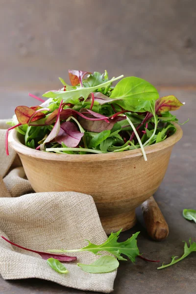 Зелений салат для здорового харчування — стокове фото