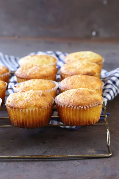 Biscoito muffins caseiros na rede de ferro — Fotografia de Stock