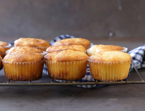 Magdalenas caseras galleta en la rejilla de hierro — Foto de Stock