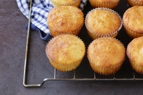 Σπιτικό muffins μπισκότο στο δικτυωτό πλέγμα σιδήρου — Φωτογραφία Αρχείου