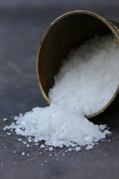 Spices white sea salt in a metal bowl — Stock Photo, Image