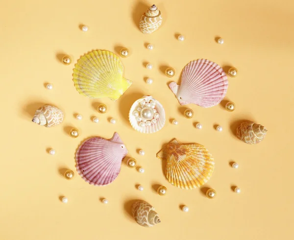 Composition of the different types of pearls and shells — Stock Photo, Image