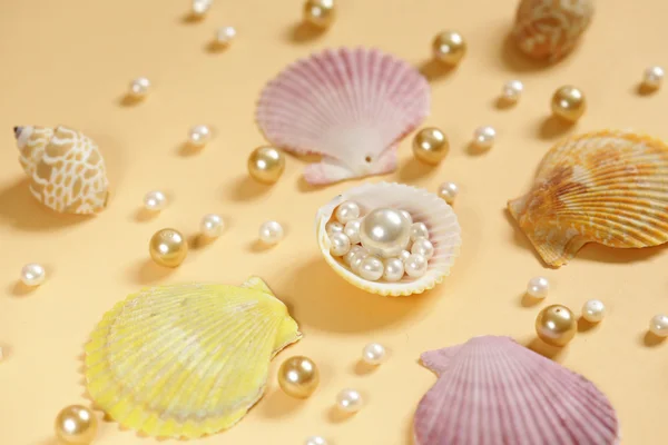 Composition of the different types of pearls and shells — Stock Photo, Image