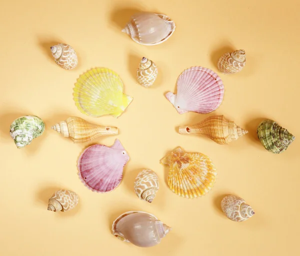 Travel concept pattern made of variety of sea shells — Stock Photo, Image