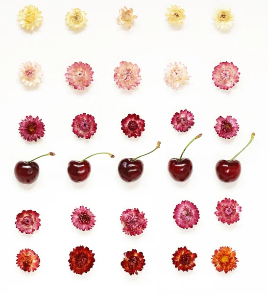 Colourful bright pattern made of flowers and burgundy cherries — Stock Photo, Image