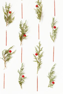 Beyaz arka plan ile yeşil çam dalları dekorasyon için 