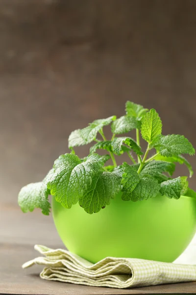 Masanın üzerine taze organik yeşil nane — Stok fotoğraf