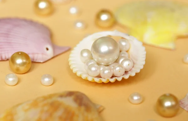 Composition of the different types of pearls and shells — Stock Photo, Image