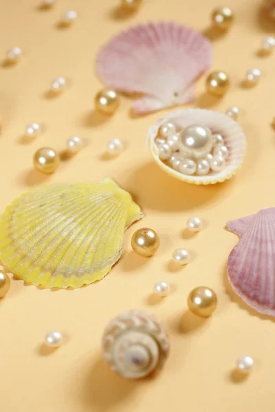 Composition of the different types of pearls and shells — Stock Photo, Image