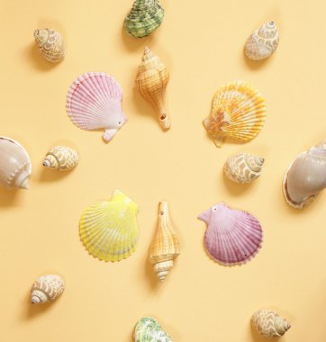 Deniz kabukları çeşitli seyahat kavramı desen yaptı   