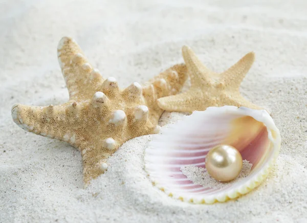 Starfish and shells with pearls on the white sand — Stock Photo, Image