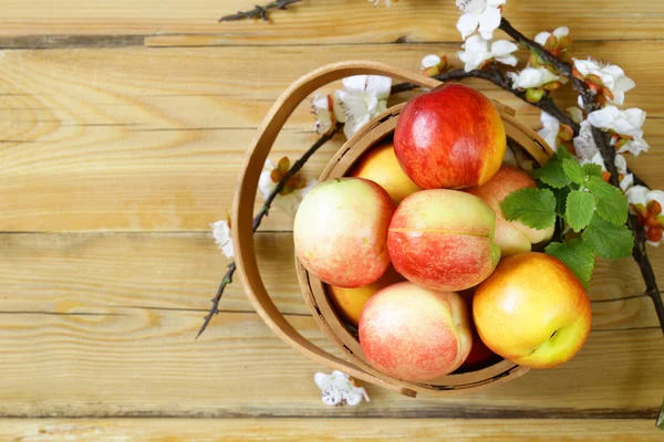 Naturlig ekologisk frukt persikor i korgen — Stockfoto