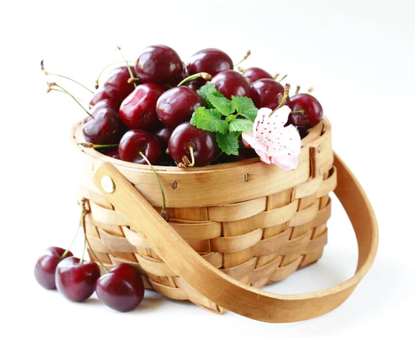 Natural organic berries cherries in a basket — Stock Photo, Image