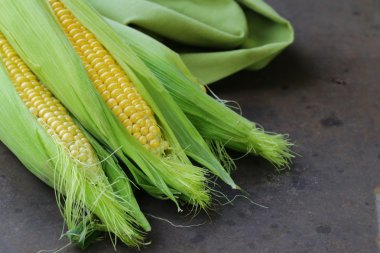 Cob taze çiğ doğal organik mısır