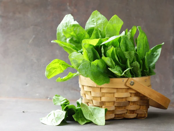 Natural organic green spinach on a wooden table — Stock Photo, Image