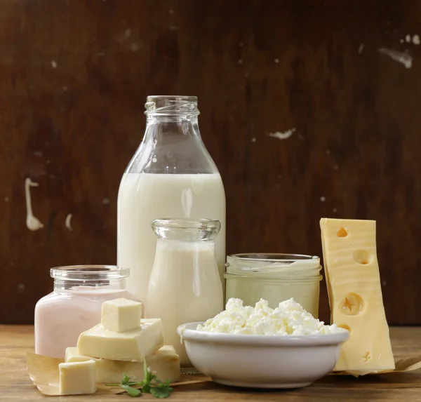 Organic dairy products - milk, sour cream, cottage cheese, yogurt — Stock Photo, Image