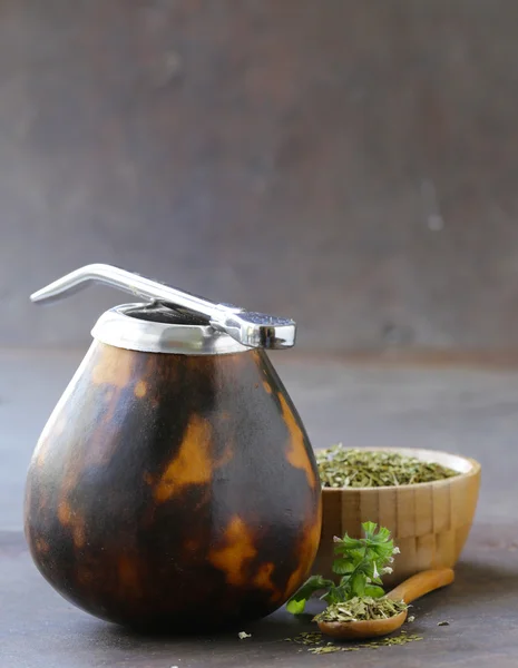 Té tradicional de yerba mate en taza de calabaza y bombilla — Foto de Stock