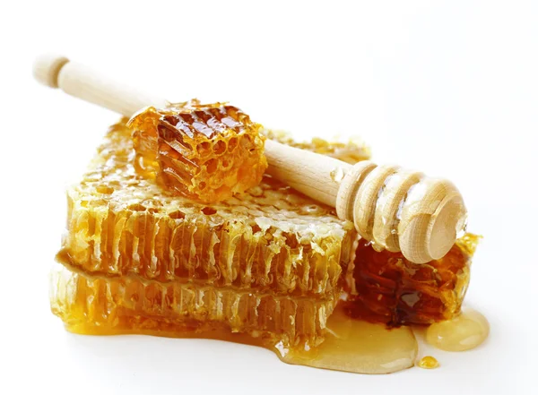 Honingraat en Beer voor honing op een witte achtergrond — Stockfoto