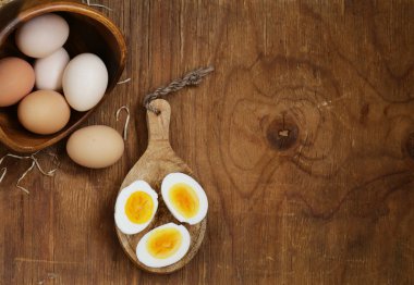 doğal organik yumurta