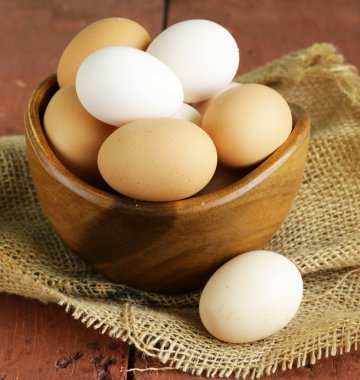 doğal organik yumurta