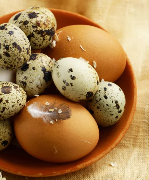 Huevos ecológicos naturales — Foto de Stock