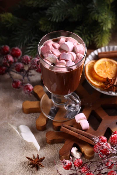 Warme Chocolademelk Met Marshmallows Voor Het Kerstdessert — Stockfoto