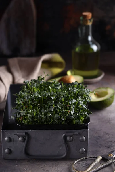 Organic Microgreens Healthy Diet — Stock Photo, Image