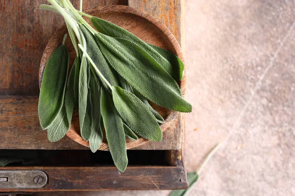 Salvia Hierba Verde Orgánica Fresca — Foto de Stock