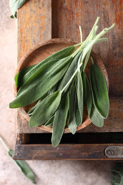 Fresh Organic Green Herb Sage — Stock Photo, Image