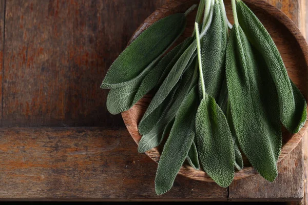 Salvia Hierba Verde Orgánica Fresca — Foto de Stock