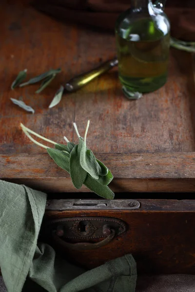 Fresh Organic Green Herb Sage Stock Image