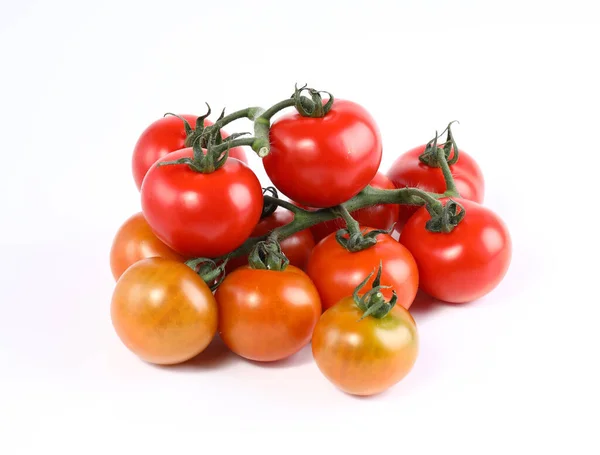 Tomates Cerises Sur Une Branche Sur Fond Blanc — Photo