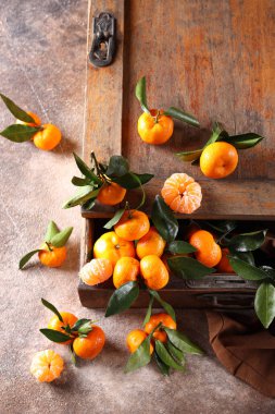 yeşil yapraklı taze mandalinalar.