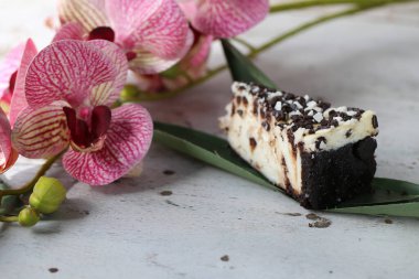 Cheesecake tatlısını tabakta ikram
