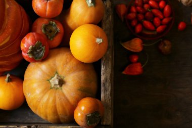 Balkabağı ve böğürtlenlerle dolu bir sonbahar