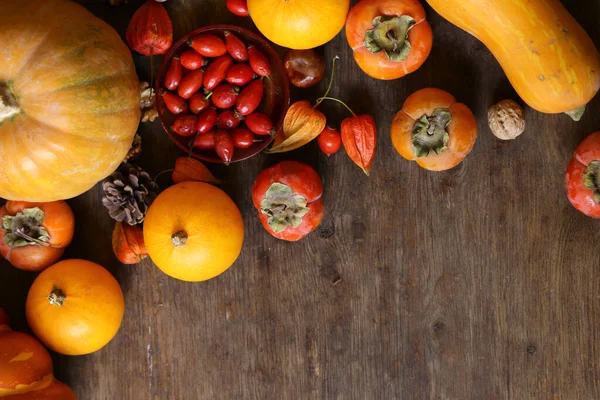 Bodegón Otoño Con Calabazas Bayas — Foto de Stock