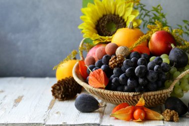 Sonbahar Natürmort meyve organik hasat