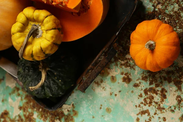 Ripe Organic Pumpkin Wooden Table — Stock Photo, Image