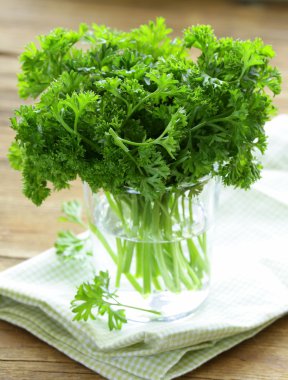 ahşap bir masa üzerinde taze yeşil organik maydanoz