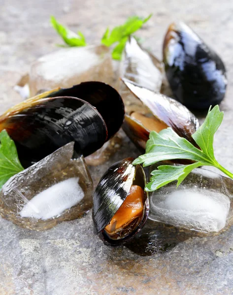 Cozze di pesce fresche deliziose con prezzemolo verde — Foto Stock