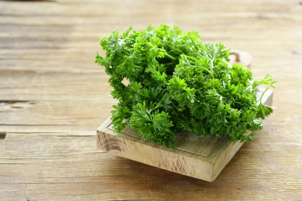Świeży zielony organiczny pietruszka na drewnianym stołem — Zdjęcie stockowe