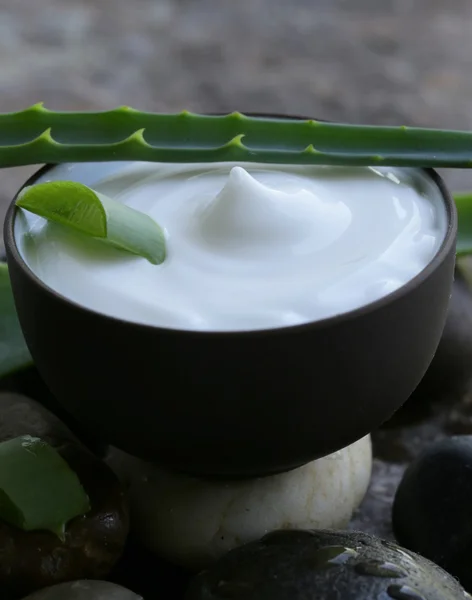 Lozione cosmetica alla panna con aloe vera fresca verde naturale — Foto Stock