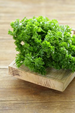 ahşap bir masa üzerinde taze yeşil organik maydanoz